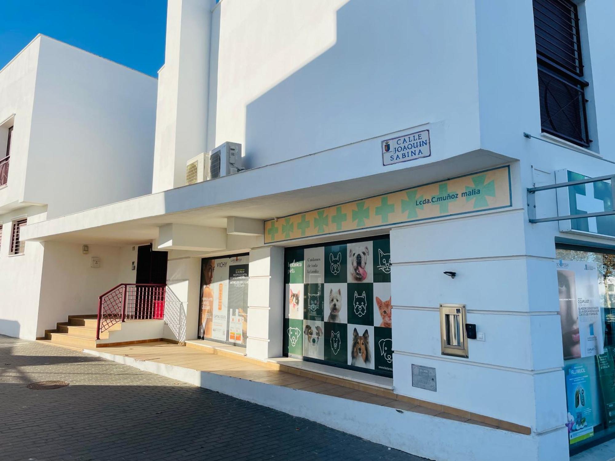 Atico Premium Conil Con 2 Terrazas, Parking, Piscina, Aire Ac Y Wifi -Solo Familias Y Parejas- Daire Conil De La Frontera Dış mekan fotoğraf